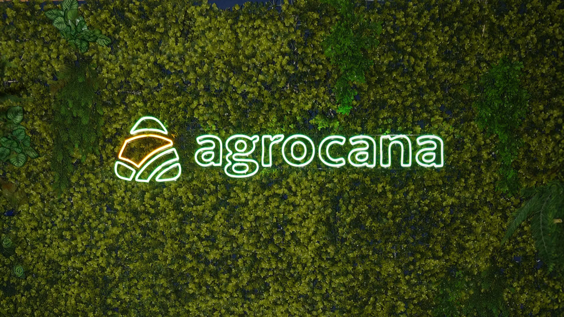 Logo neon aéreo