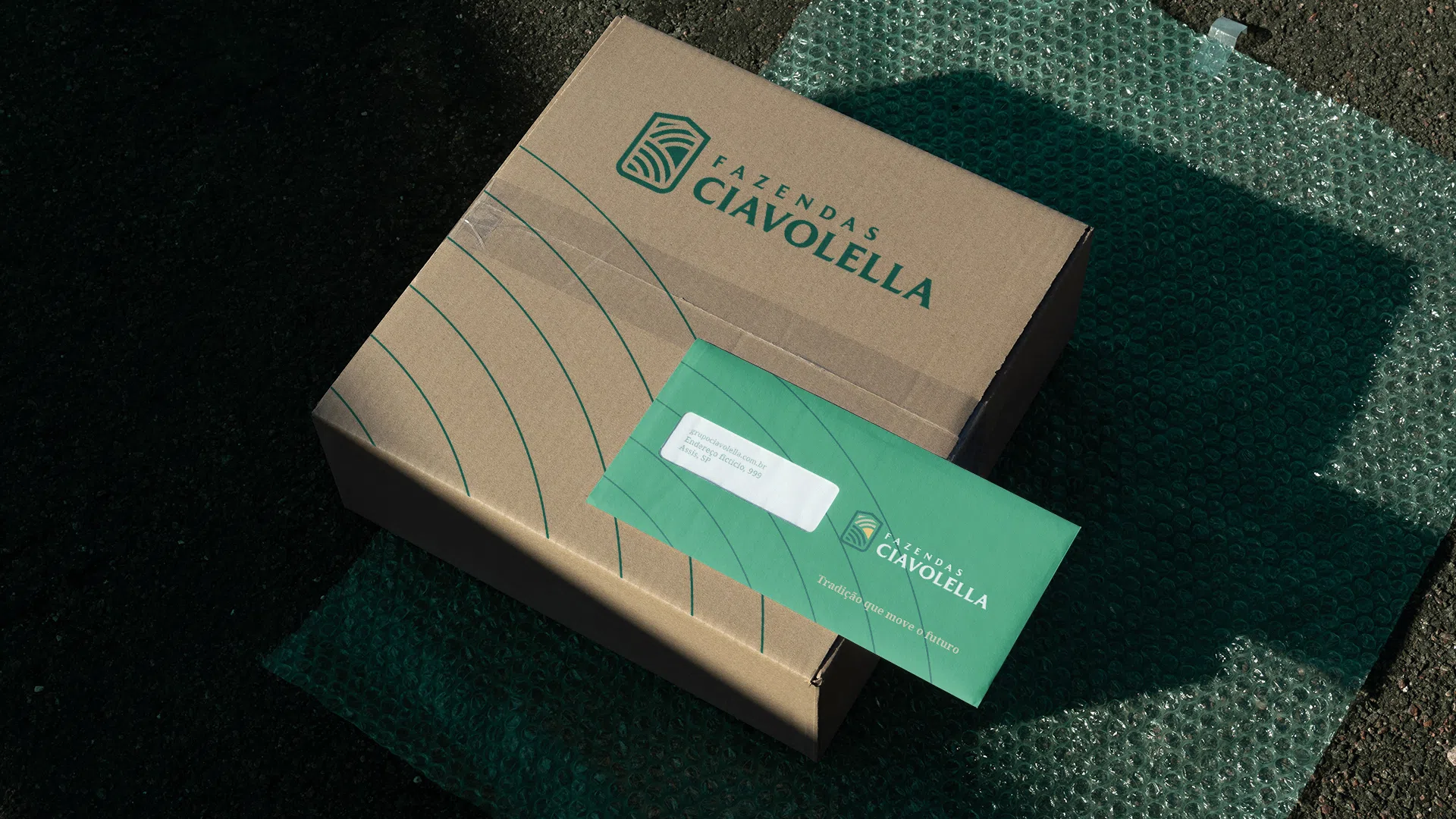 Fazendas Ciavolella — logotipo principal